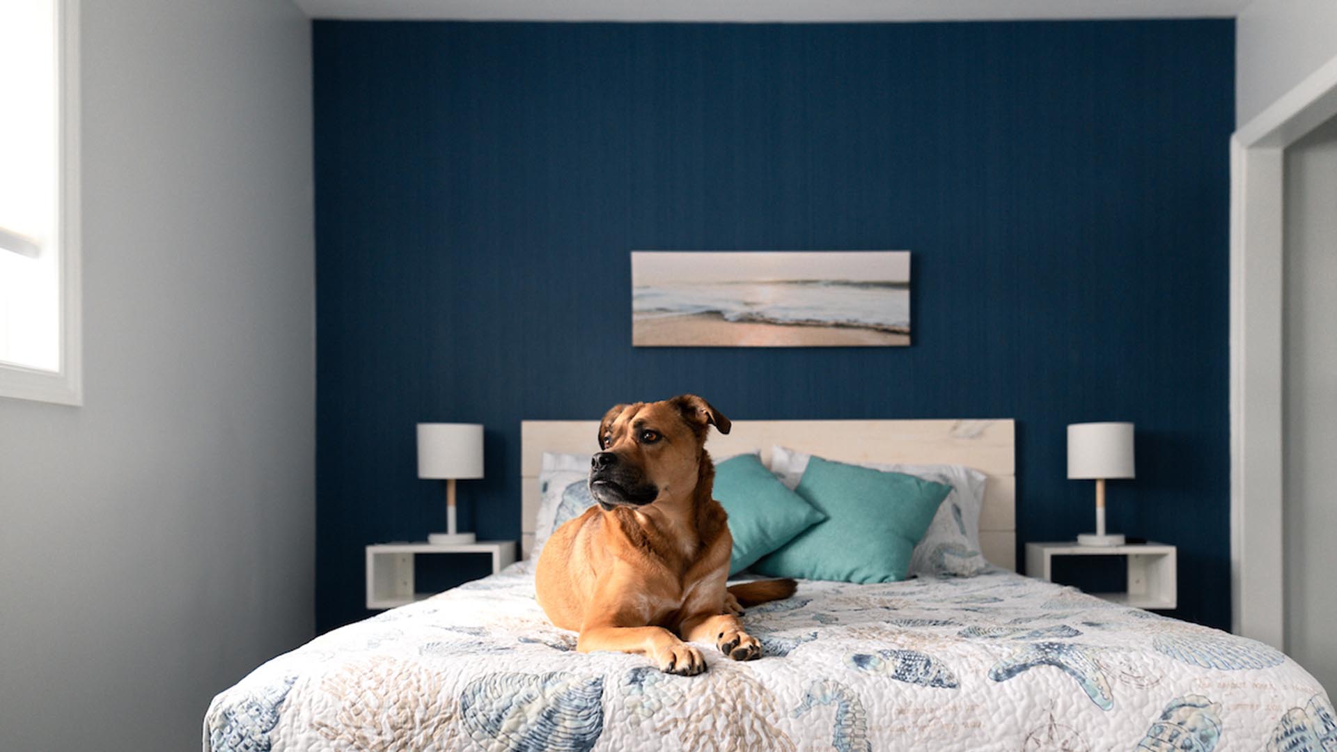 Experience Coastal Comfort & Culinary Delights Sheet Harbour Motel